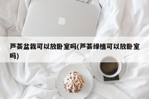 芦荟盆栽可以放卧室吗(芦荟绿植可以放卧室吗)