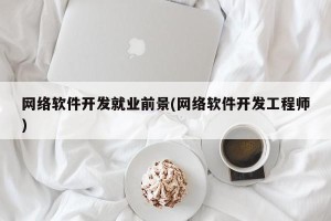 网络软件开发就业前景(网络软件开发工程师)